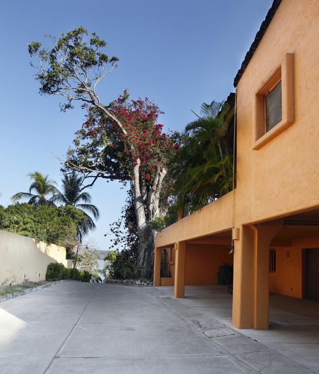 Hotel Casa Don Francisco Ixtapa  Δωμάτιο φωτογραφία