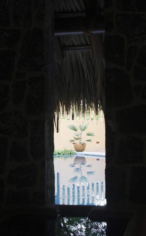 Hotel Casa Don Francisco Ixtapa  Εξωτερικό φωτογραφία