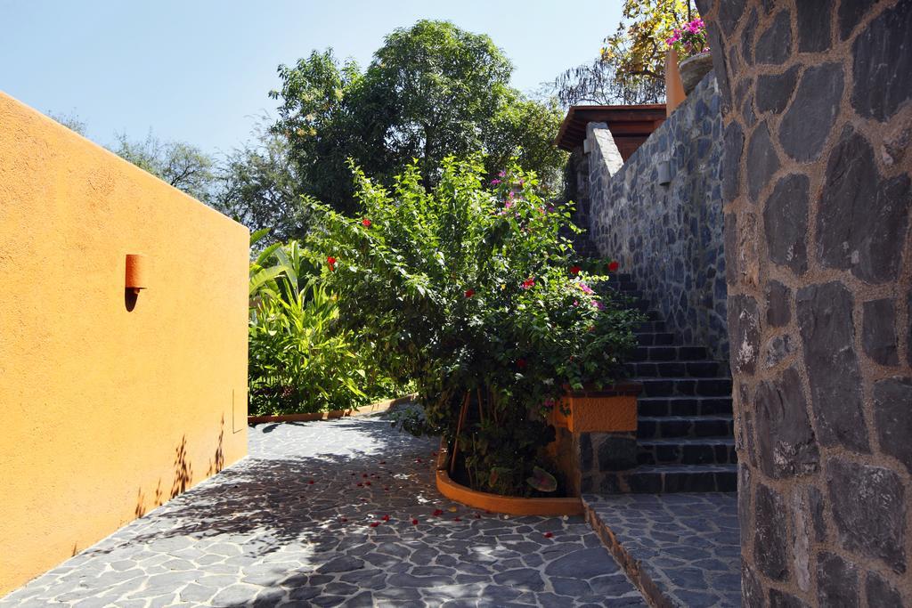 Hotel Casa Don Francisco Ixtapa  Εξωτερικό φωτογραφία